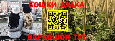 гашик Будённовск