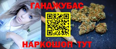 гашик Будённовск