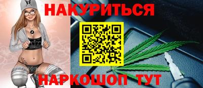 гашик Будённовск
