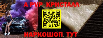 гашик Будённовск