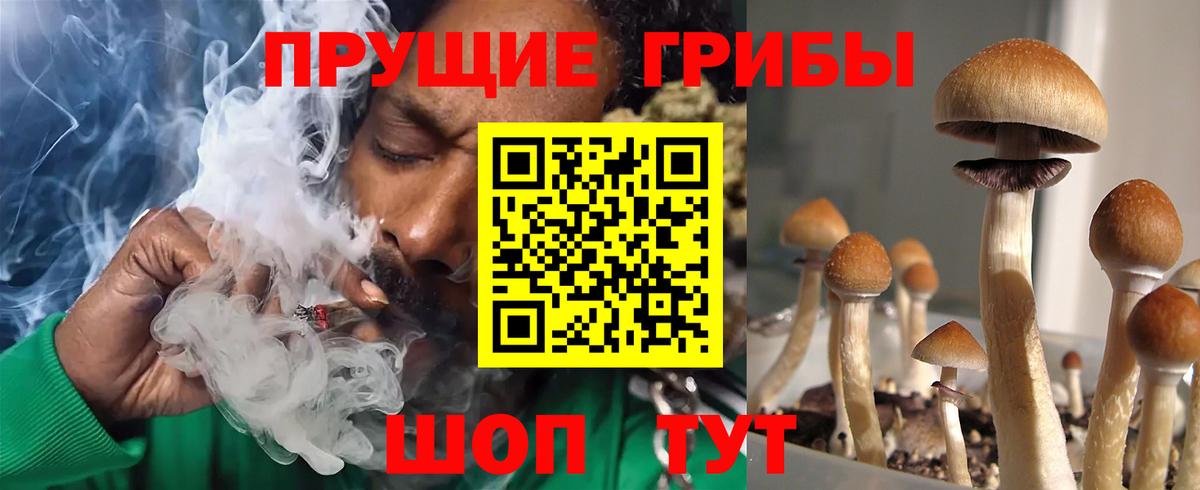 Псилоцибиновые грибы мухоморы  как найти закладки  Липецк  Вход с VPN  Псилоцибиновые грибы Magic Shrooms 